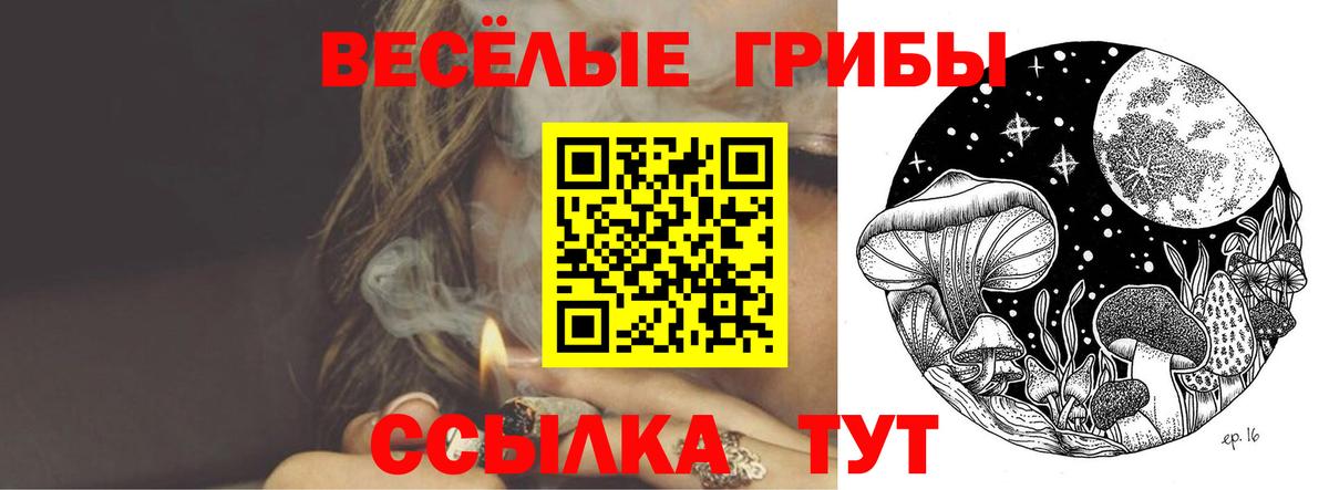 Галлюциногенные грибы Psilocybe Волжск